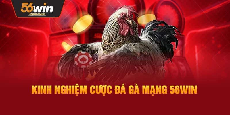 Kinh nghiệm và mẹo cược đá gà mạng hiệu quả tại 56WIN