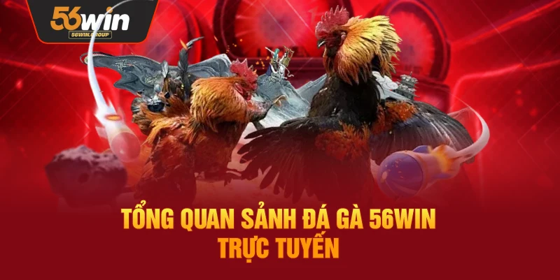Khái quát về sân chơi đá gà trực tuyến tại 56WIN